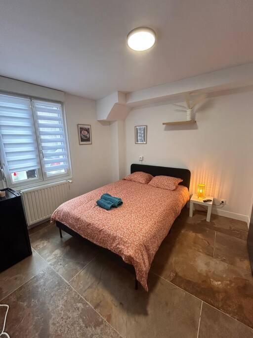La Ptite Albi Home Нанси Экстерьер фото