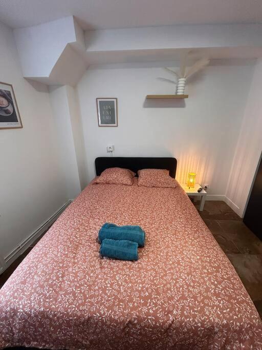 La Ptite Albi Home Нанси Экстерьер фото