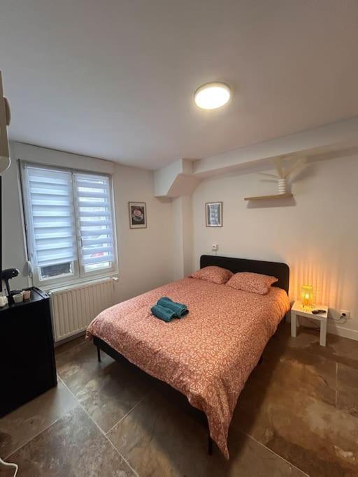 La Ptite Albi Home Нанси Экстерьер фото